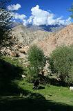Ladakh - 085